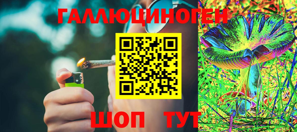 Новошахтинск  Псилоцибиновые грибы Psilocybe  Галлюциногенные грибы мухоморы  Вход с VPN 
